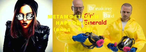 прущие грибы Балабаново