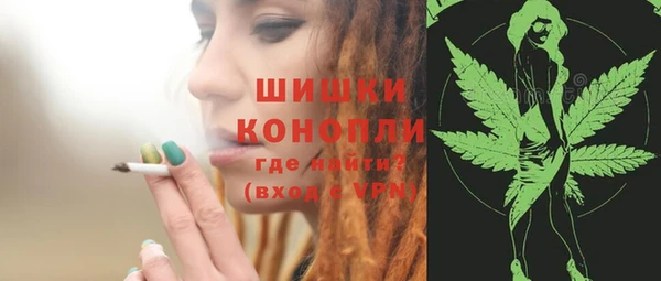 прущие грибы Балабаново