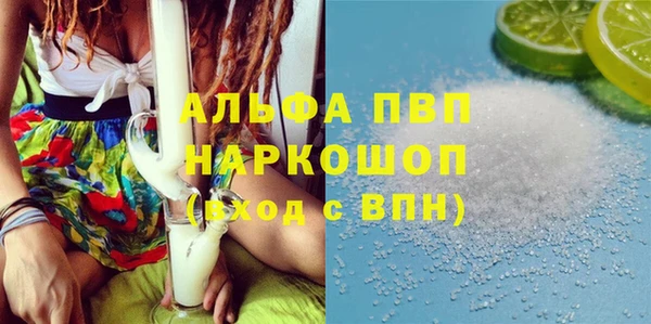 прущие грибы Балабаново